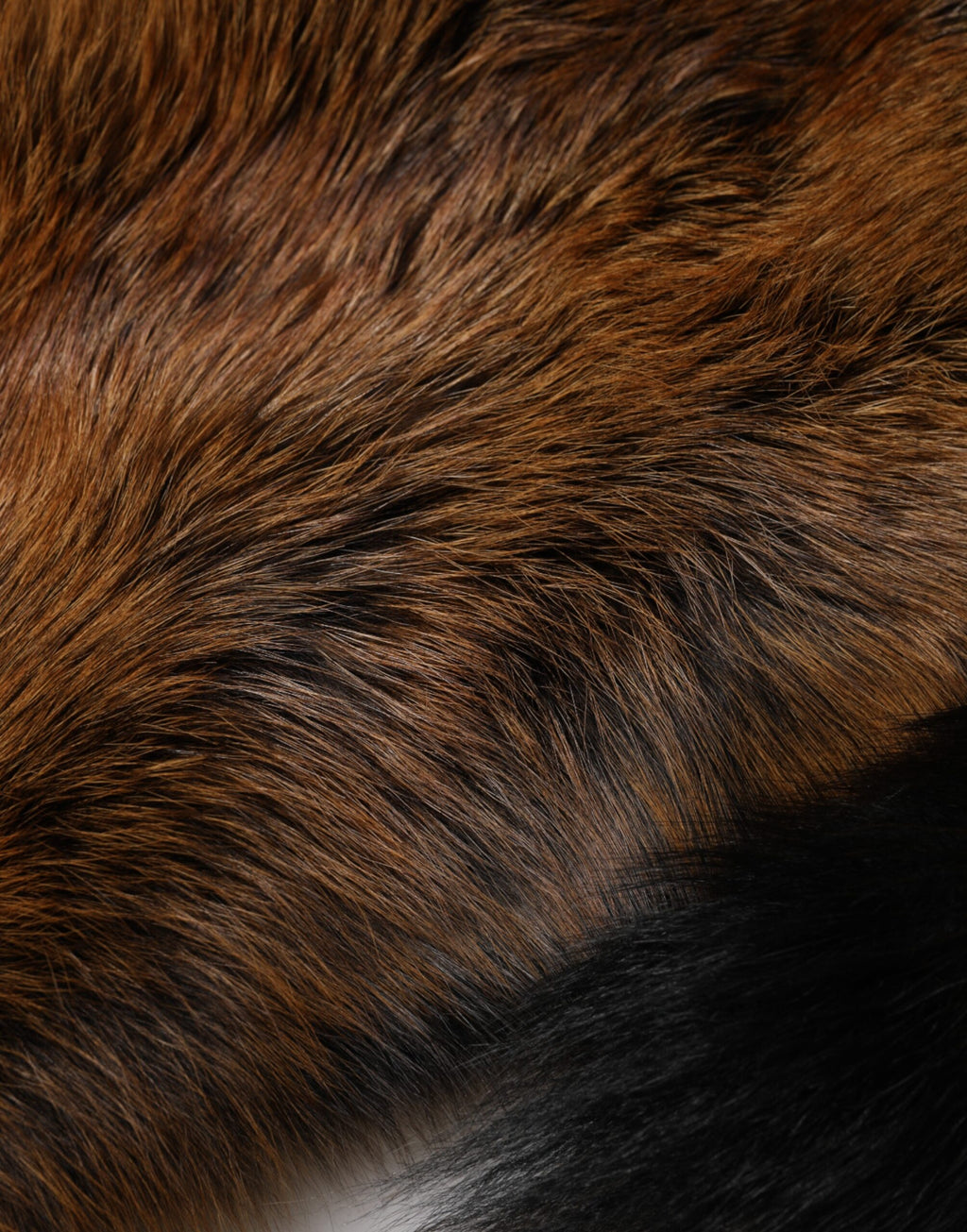Dolce & Gabbana Brown Red Fox Fur Neck Cashmere Warmer Scarf
